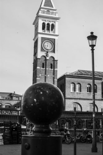 DSC 8029
